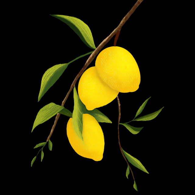 节日版本麻豆——功能拆解全景重现